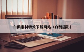 宣汉白鹅素材特效下载网站（白鹅摄影）
